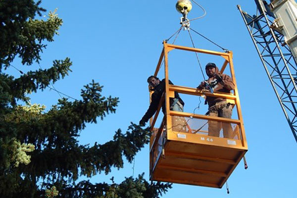 Hanging Christmas lights on parish trees